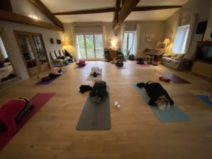 formation de yoga clermont-l'hérault
