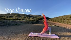 yoga vinyasa 